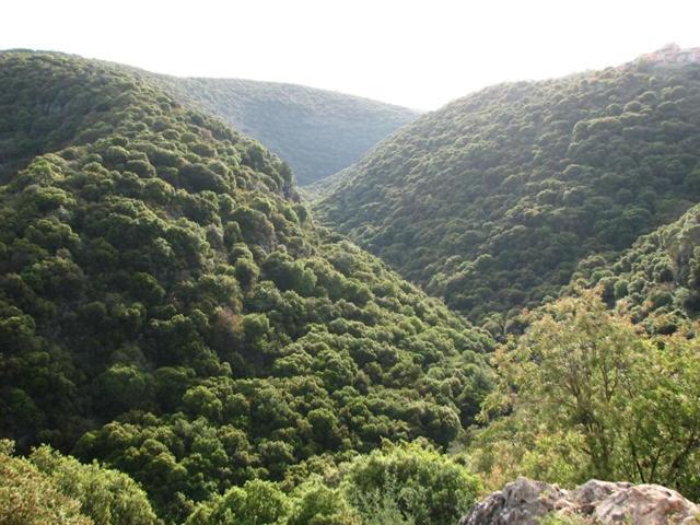 Apartmán היחידה - Hayehida Ma'alot Taršicha Exteriér fotografie