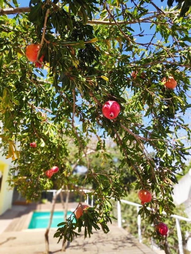 Apartmán היחידה - Hayehida Ma'alot Taršicha Exteriér fotografie